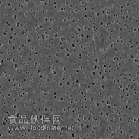 聚醚砜微孔濾膜/PES濾膜