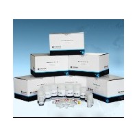 FZ1023 土壤基因組DNA提取試劑盒Soil DNA Isolation Kit(5)