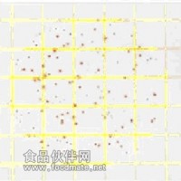 現貨供應Petrifilm™ 菌落總數測試片