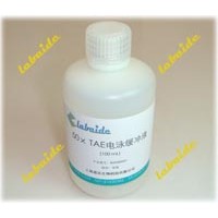 TAE電泳緩沖液_50倍
