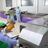 DFD全自動仿生饅頭生產線