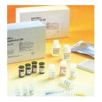 多巴胺轉運蛋白elisa,大鼠(DAT）Elisa試劑盒