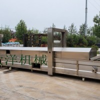 大洋牌經濟實惠的連續式油炸生產線 暢銷款全自動油炸流水線