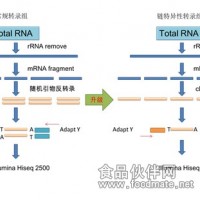 原核生物轉錄組測序