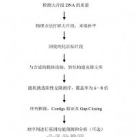 鳥槍法Shotgun測序