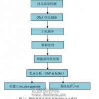 細菌群體全基因組重測序