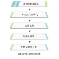 全基因組甲基化測序