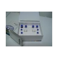 大鼠巨噬細胞炎癥蛋白1α(MIP-1α/CCL3)ELISA試劑盒