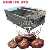 商用馬蹄果清洗機毛輥去皮清洗機花生去泥清洗機