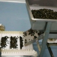 東北黑木耳微波烘干殺菌生產(chǎn)線