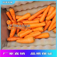 胡蘿卜清洗機洋芋毛輥去皮機馬蹄荸薺清洗設備
