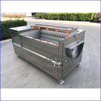 馬蹄清洗機全自動胡蘿卜花生清洗去泥機芋頭去皮設備
