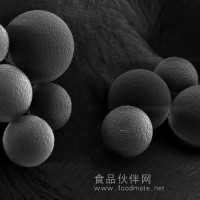 供應(yīng)聚苯乙烯凝膠