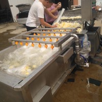 氣泡清洗機(jī) 果蔬清洗流水線 供應(yīng)清洗設(shè)備