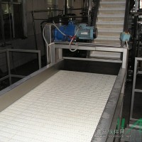 工程塑料鏈板選果機