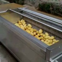 廠家直銷土豆毛輥清洗機 紅薯芋頭去皮清洗機供應