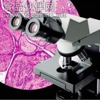 2014新一代奧林巴斯CX31生物顯微鏡區域代理大量現貨供應價格優惠