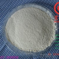 供應脫水蒜粉 100-120目