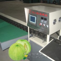 甜瓜重量選果機 甜瓜重量分選機 甜瓜選果機