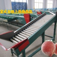 選果機(jī)水蜜桃重量分選 桃子重量分級(jí)篩選 水蜜桃選果機(jī)