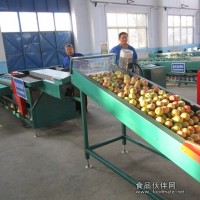 獼猴桃篩選分級機 雙通道直式獼猴桃選果機
