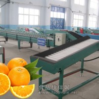 橙子菠蘿重量分選選果機 橙子重量選果機