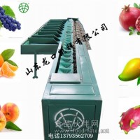 奇異果稱重分選選果機(jī) 紅心獼猴桃選果機(jī) 獼猴桃分大小機(jī)器