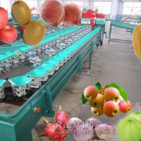 青棗重量分選選果機
