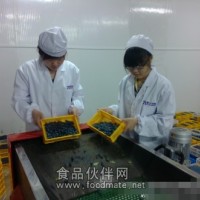 早熟品種藍莓選果機 鮮果藍莓分選機 買藍莓選果機