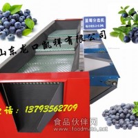 2014藍(lán)莓選果機(jī) 新款藍(lán)莓分選機(jī) 直徑式藍(lán)莓篩選機(jī)