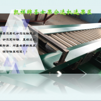 凱祥圣女果選果機(jī) 技術(shù)升級(jí) 自動(dòng)上果 不傷果