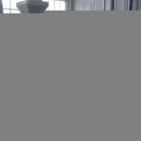 QZJ-1.2型西瓜去籽機