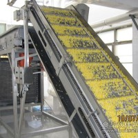 果蔬加工設備流態(tài)化速凍機