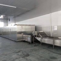 扇貝速凍機通過式速凍機廠家