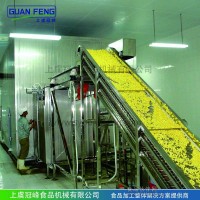 甜玉米速凍機 單體果蔬速凍設備