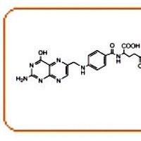 活性酯聚乙二醇葉酸