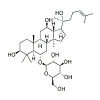 (R型)人參皂苷Rh1 20(R)人參皂苷Rh1 HPLC≥80% HPLC≥90% HPLC≥95% g級 克級 1g 1克