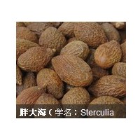 胖大海提取物應用，胖大海提取物QS證廠家