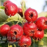 山楂漿