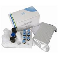 多種屬基質金屬蛋白酶1(MMP-1)ELISA試劑盒