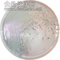 微生物顯色培養(yǎng)基（國產(chǎn)）