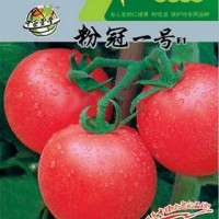 供應(yīng)大棚蔬菜種子,果型均勻,番茄種子