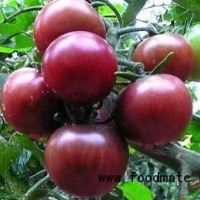 供應(yīng)水果小番茄種子,特色小番茄種子