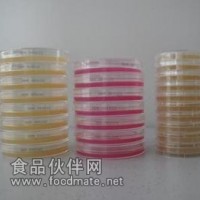 改良CCDA瓊脂平板（9cm）