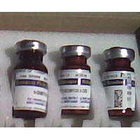 154-23-4 兒茶素