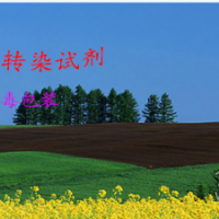 轉染有難度細胞轉染試劑