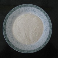AD 脫水白蔥粉 80-100目