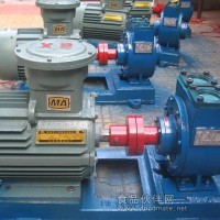 100YPB-100滑片泵