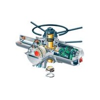 羅托克ROTORK電動執行器IQ IQT IQM