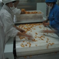 供應微波膨化設備